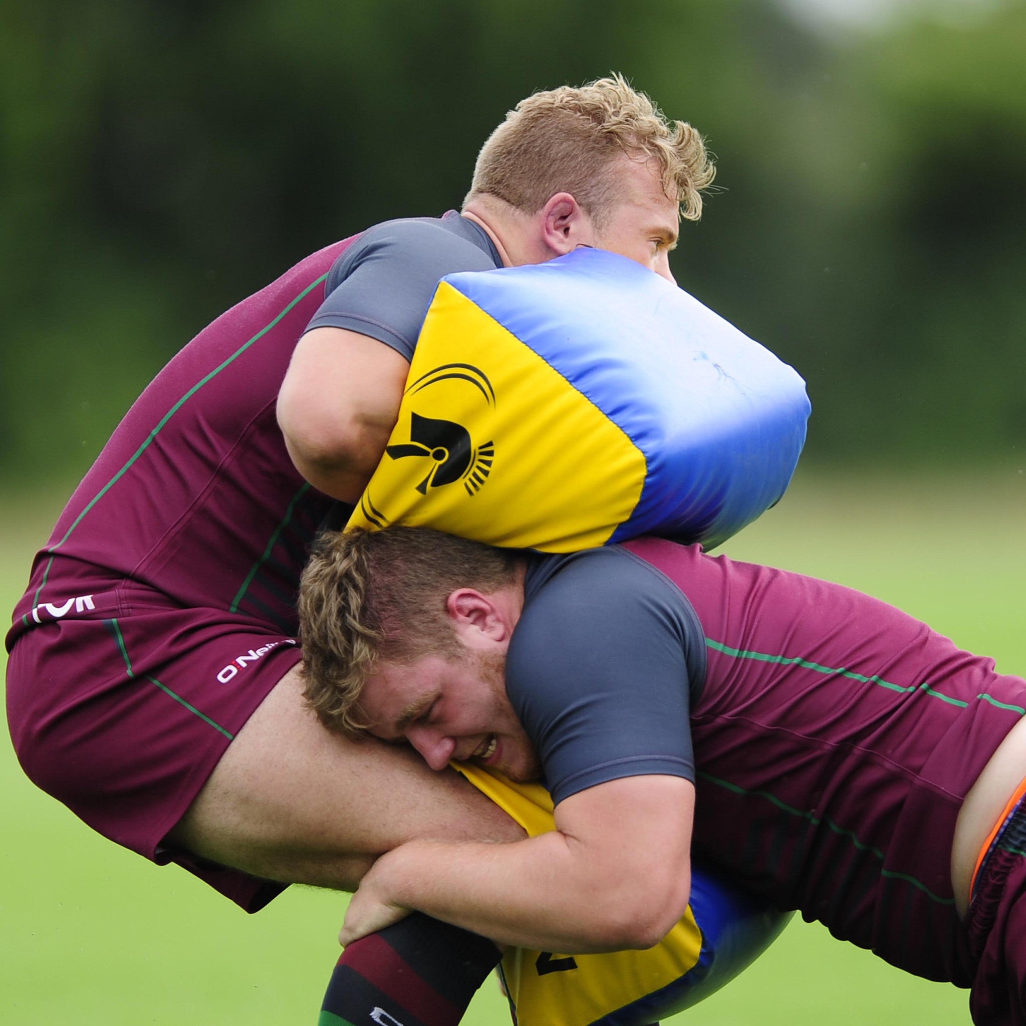 Rugby Tackle Shields