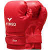 Club Boxing Gloves